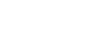 Lehnsgaard logo hvidt